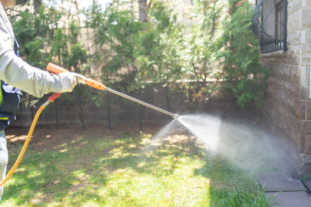 Best Wasp Removal Services  in Pumpkin Center, NC